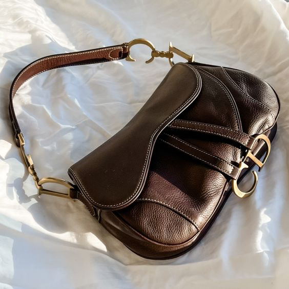 brown christian dior bag